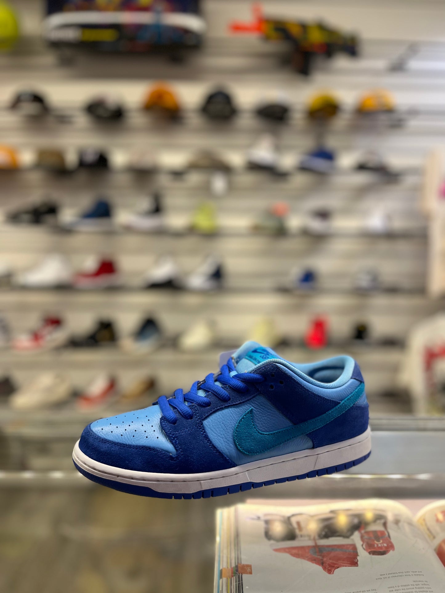 Nike SB Low Blue Rasberry