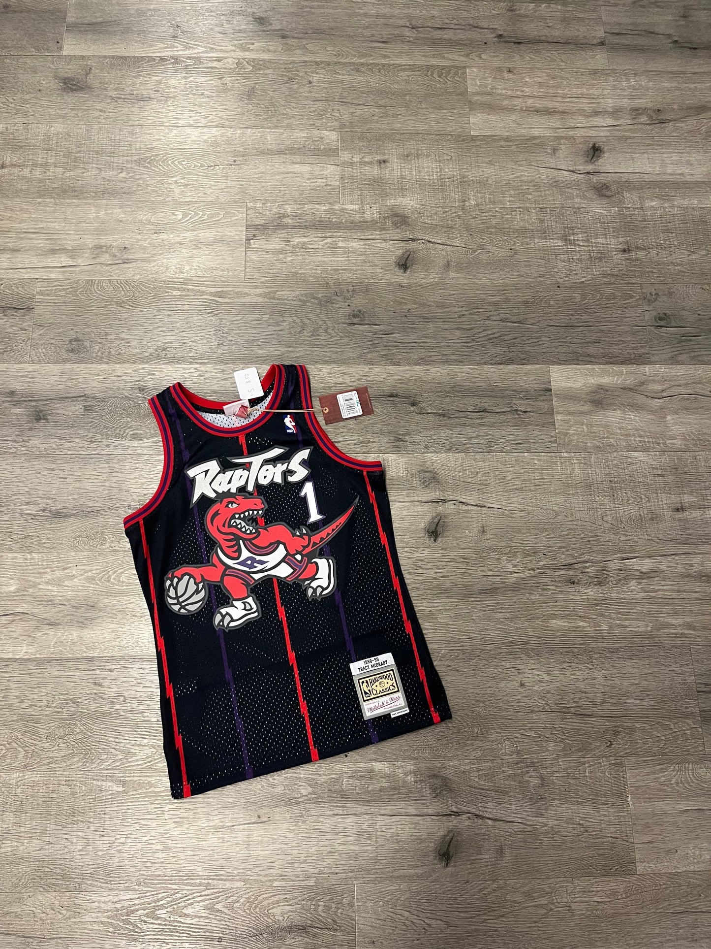 Mcgrady Raptors Jersey