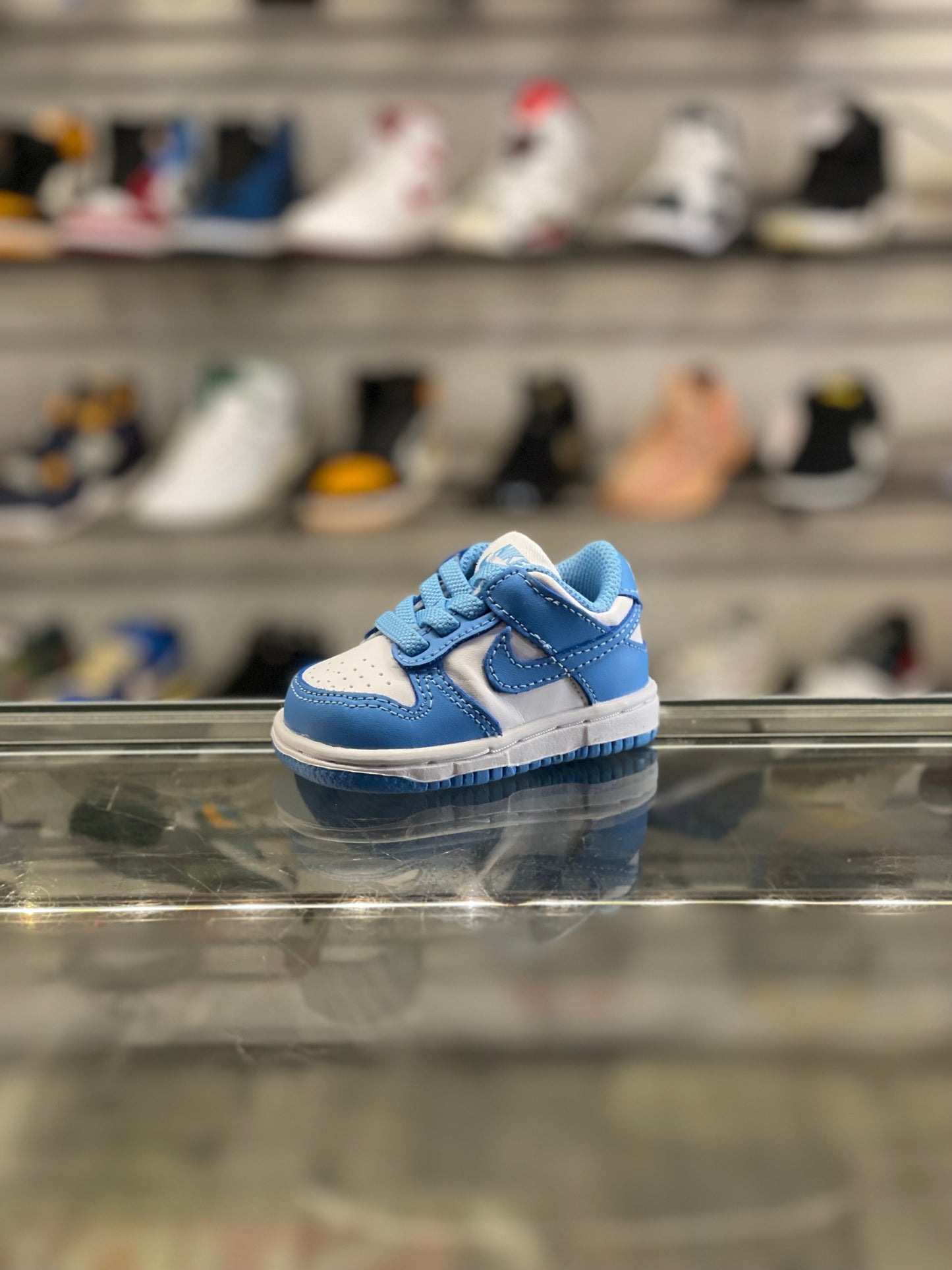 Nike Dunk Low UNC (TD)
