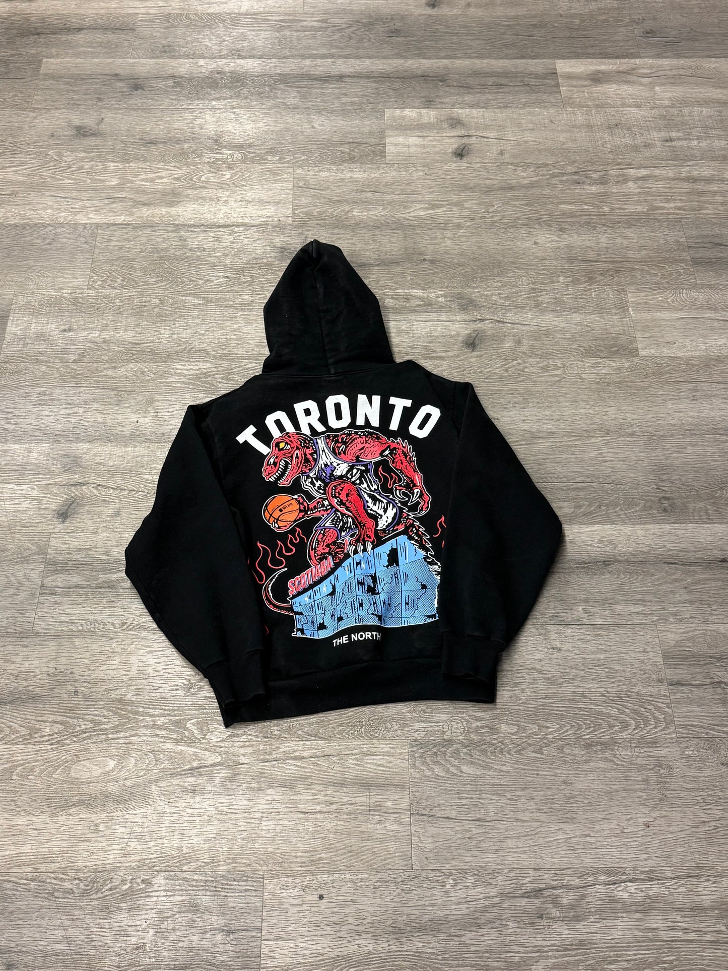 Warren Lotas Raptors Hood