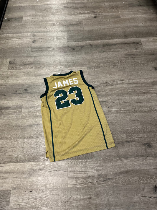 SVSM Lebron Jersey