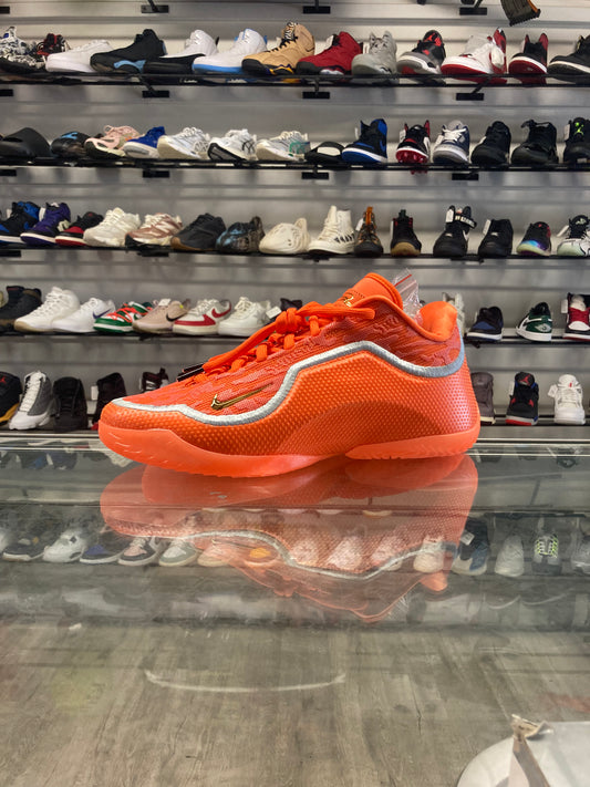 Nike LeBron 23 Shoe Bag (Translucent Outsole)