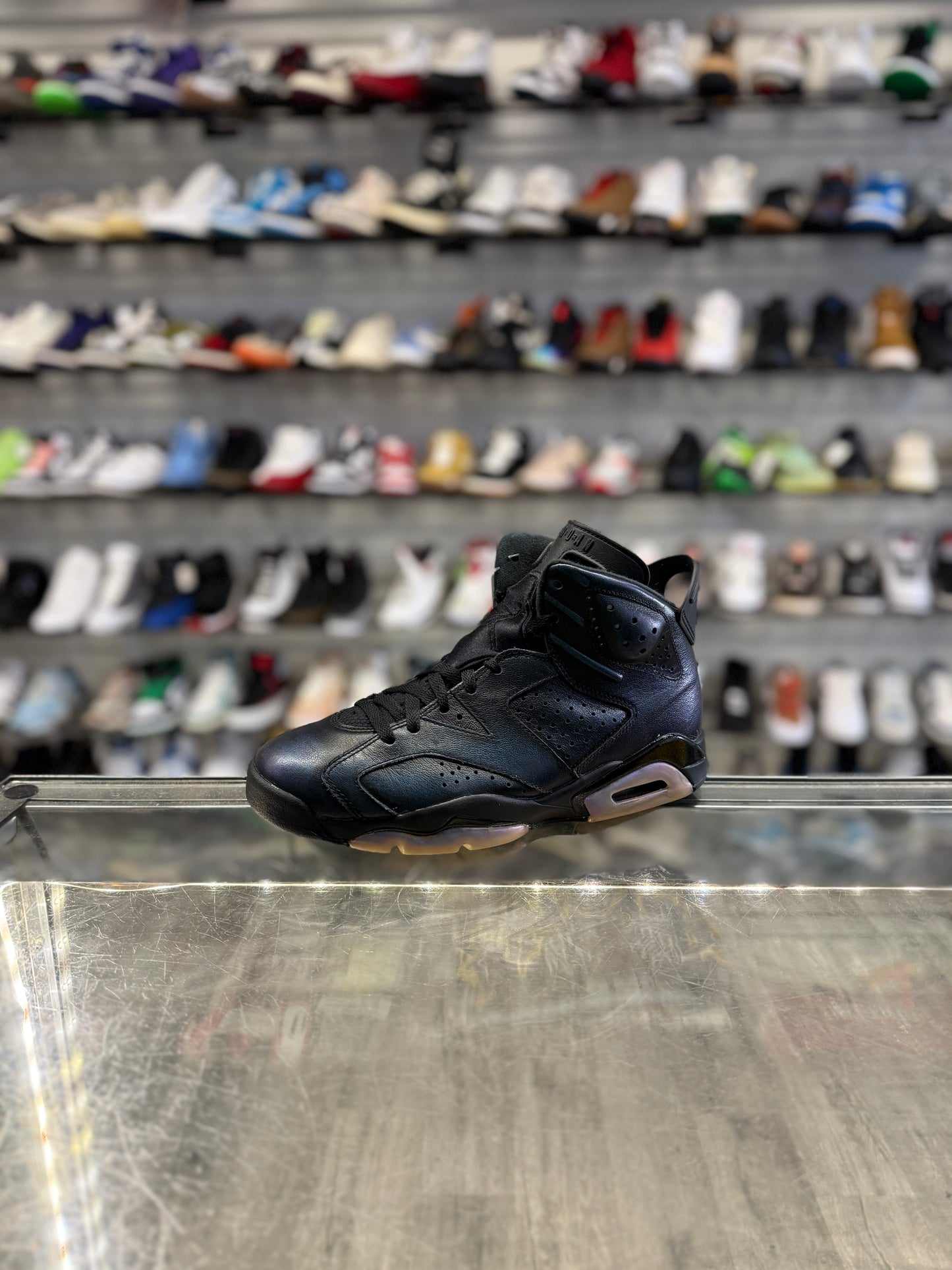 Air Jordan 6 All-Star Chameleon