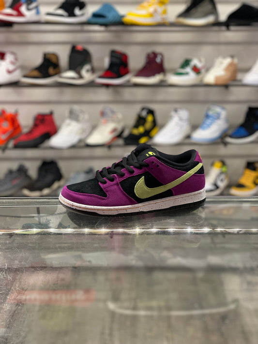 Nike SB Low ACG Terra