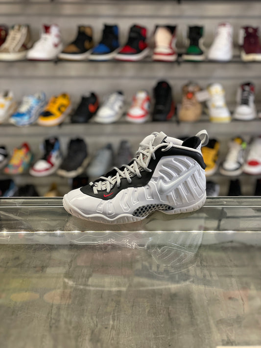 Nike Air Foamposite Pro White/Black