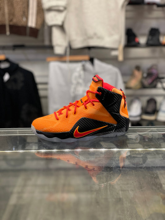 Nike Lebron 12 Witness