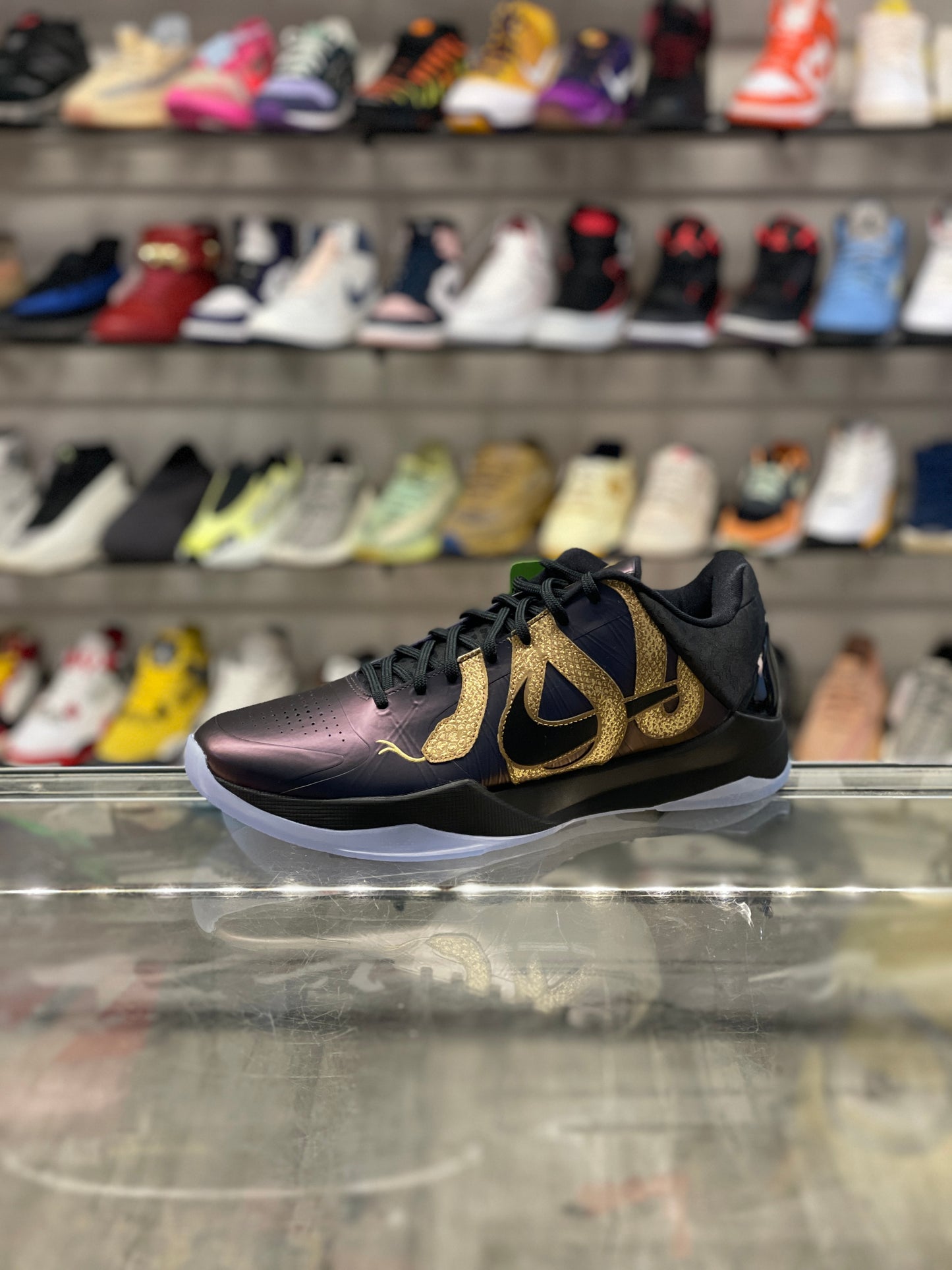 Nike Kobe 5 Protro Year of The Mamba Eggplant