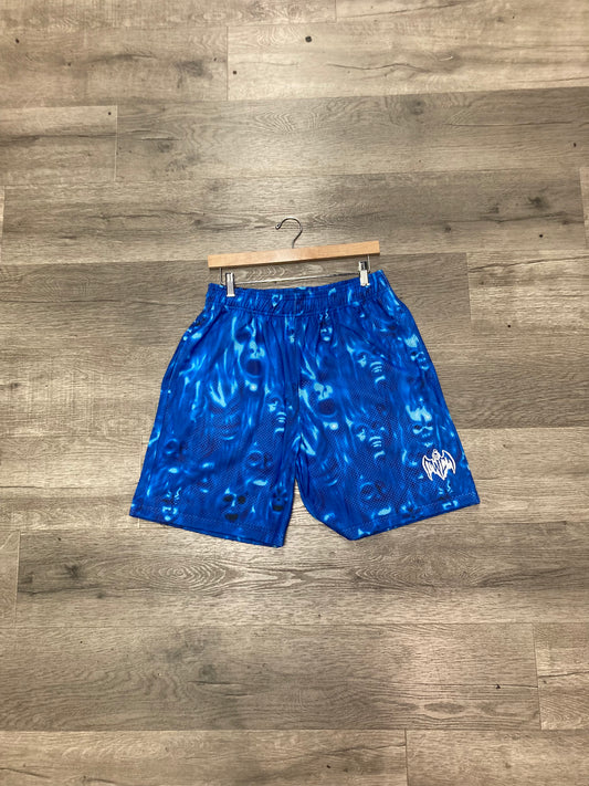 Warren Lotas Blue Shorts