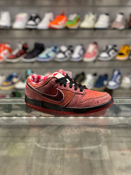 Concepts Nike SB Low Red Lobster